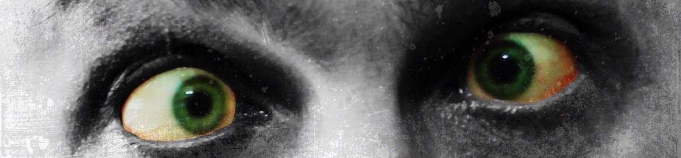 Covers For Lovers - Band kontakt